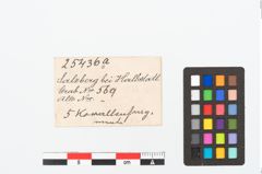 Etikett zu Korallenfragmente (NHMW-PRAE-025436a)